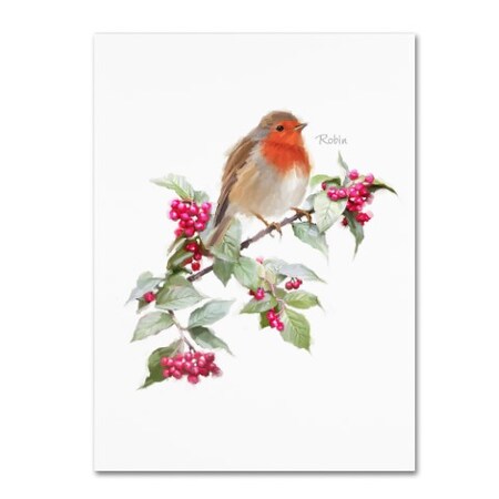 Trademark Fine Art The Macneil Studio 'Robin' Canvas Art, 35x47 ALI8639-C3547GG